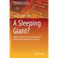 A Sleeping Giant?: Nigeria's Domestic and International Politics in the Twenty-First Century - Paperback