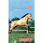 Buckskin Bandit - Paperback