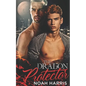 The Dragon Protector: A Gay Shifter Romance - Paperback