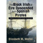 The Black Irish of Eire: A Memoir of an American Family: The Mitchells - Hardcover