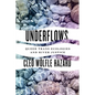 Underflows: Queer Trans Ecologies and River Justice - Paperback