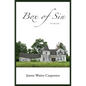 Box of Sin - Paperback