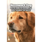 Hovawart Dog: Did You Know This Information About Hovawart Dog Breed?: Hovawart Dog Outline Handbook - Paperback
