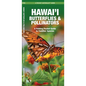 Hawai'i Butterflies & Pollinators, 2nd Ed: A Folding Pocket Guide to Familiar Species - Paperback