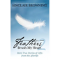 Feathers Brush My Heart 2: More True Stories of Gifts from the Afterlife - Paperback
