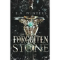 The Forgotten Stone - Paperback