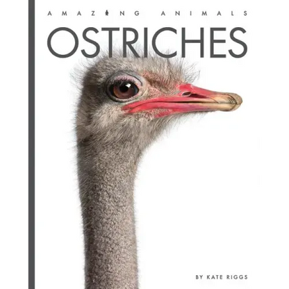 Ostriches - Library Binding