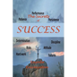The Secrets of Success - Paperback