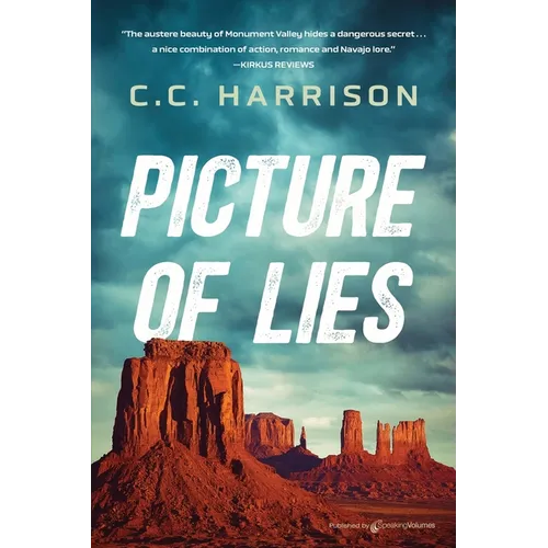 Picture of Lies - Paperback
