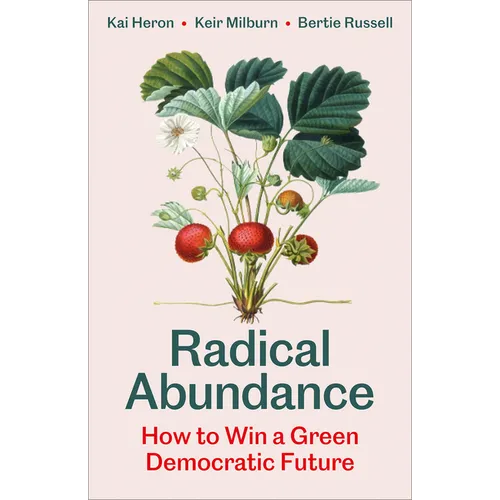 Radical Abundance: How to Win a Green Democratic Future - Paperback