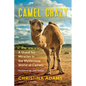 Camel Crazy: A Quest for Miracles in the Mysterious World of Camels - Paperback