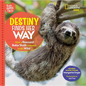Destiny Finds Her Way: How a Rescued Baby Sloth Learned to Be Wild - Hardcover