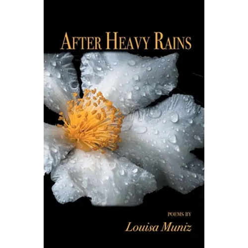After Heavy Rains - Paperback