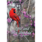 Effie and Her Friends: A Story of Friendship - Paperback