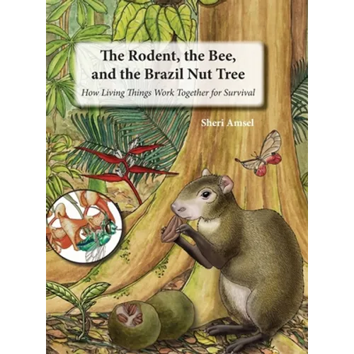 The Rodent, the Bee, and the Brazil Nut Tree: How Living Things Work Together for Survival - Hardcover
