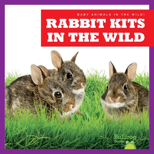 Rabbit Kits in the Wild - Paperback