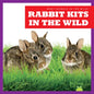 Rabbit Kits in the Wild - Paperback