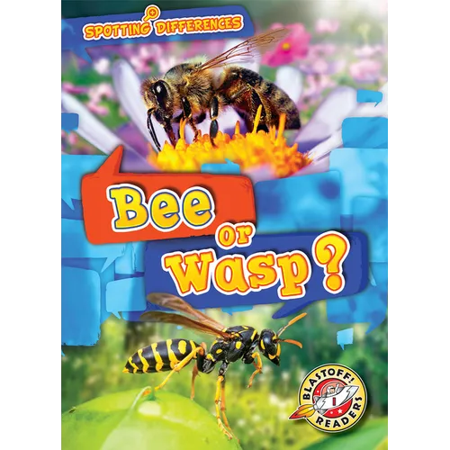 Bee or Wasp? - Paperback