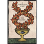 A Formless Fire: Rediscovering the Magical Traditions of the West - Paperback