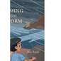 Calming the Storm - Paperback