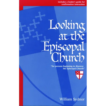 Looking at the Episcopal Church - Paperback