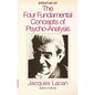 Erratum of the Four Fundamental Concepts of Psycho-Analysis - Paperback