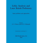 Lithic Analysis and Later British Prehistory: Some problems and approaches - Paperback