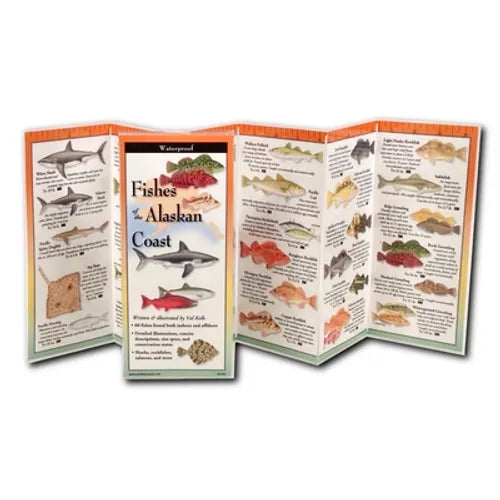 Fishes of the Alaskan Coast