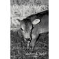 Cream of the Crop - Paperback