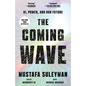 The Coming Wave: Ai, Power, and Our Future - Paperback
