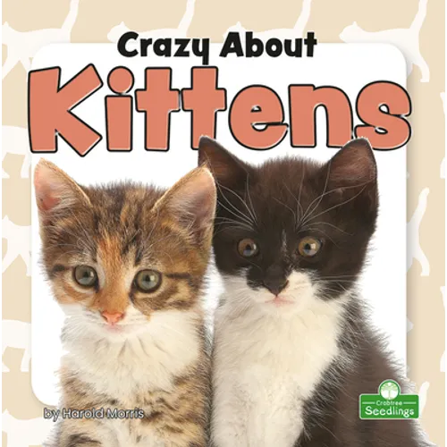 Crazy about Kittens - Paperback