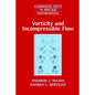 Vorticity and Incompressible Flow - Paperback