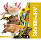 Essential Amphibians - Library Binding