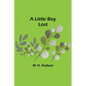 A Little Boy Lost - Paperback