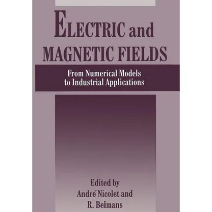 Electric and Magnetic Fields: From Numerical Models to Industrial Applications - Paperback