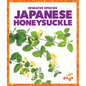 Japanese Honeysuckle - Paperback