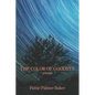 The Color of Goodbye - Paperback