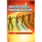 Culture and Creativity in Organizations and Societies - Paperback
