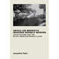 Amaza Lee Meredith Imagines Herself Modern: Architecture and the Black American Middle Class - Hardcover