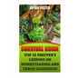 Survival Guide: Top 25 Prepper's Lessons On Homesteading and Urban Gardening - Paperback