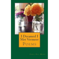 I Dreamed I Met Vermeer: Poems - Paperback