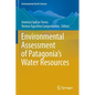 Environmental Assessment of Patagonia's Water Resources - Paperback