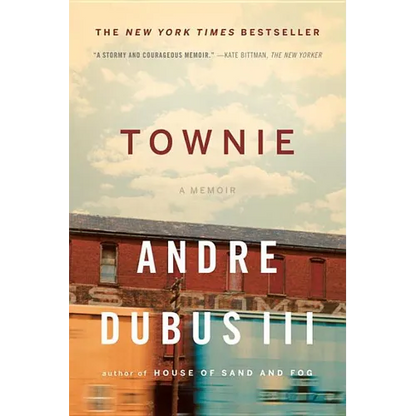 Townie: A Memoir - Paperback