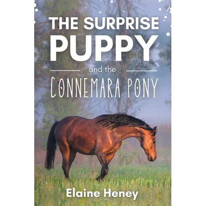 The Surprise Puppy and the Connemara Pony - The Coral Cove Horses Series - Paperback