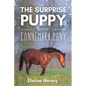 The Surprise Puppy and the Connemara Pony - The Coral Cove Horses Series - Paperback
