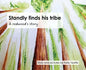 Standly finds his tribe: A redwood's story - Hardcover