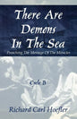 There Are Demons In The Sea: Preaching The Message Of The Miracles Cycle B - Paperback