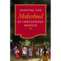 Shaping the Motherhood of Indigenous Mexico - Hardcover