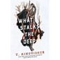 What Stalks the Deep - Hardcover