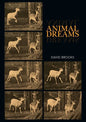 Animal Dreams - Paperback